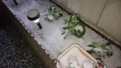雪