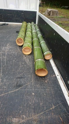 ミニ角松用の竹